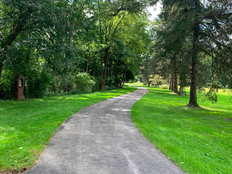 pathway woods